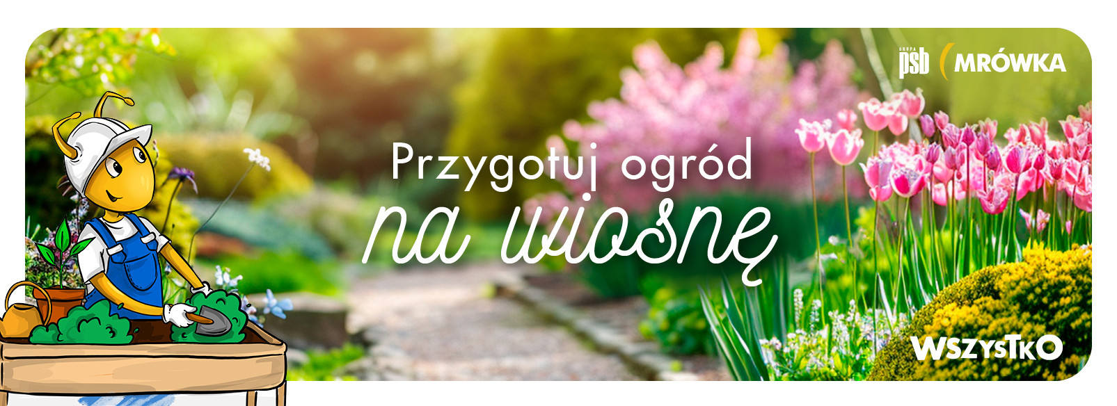 Grupa PSB mrowka Mrówka Kluczbork