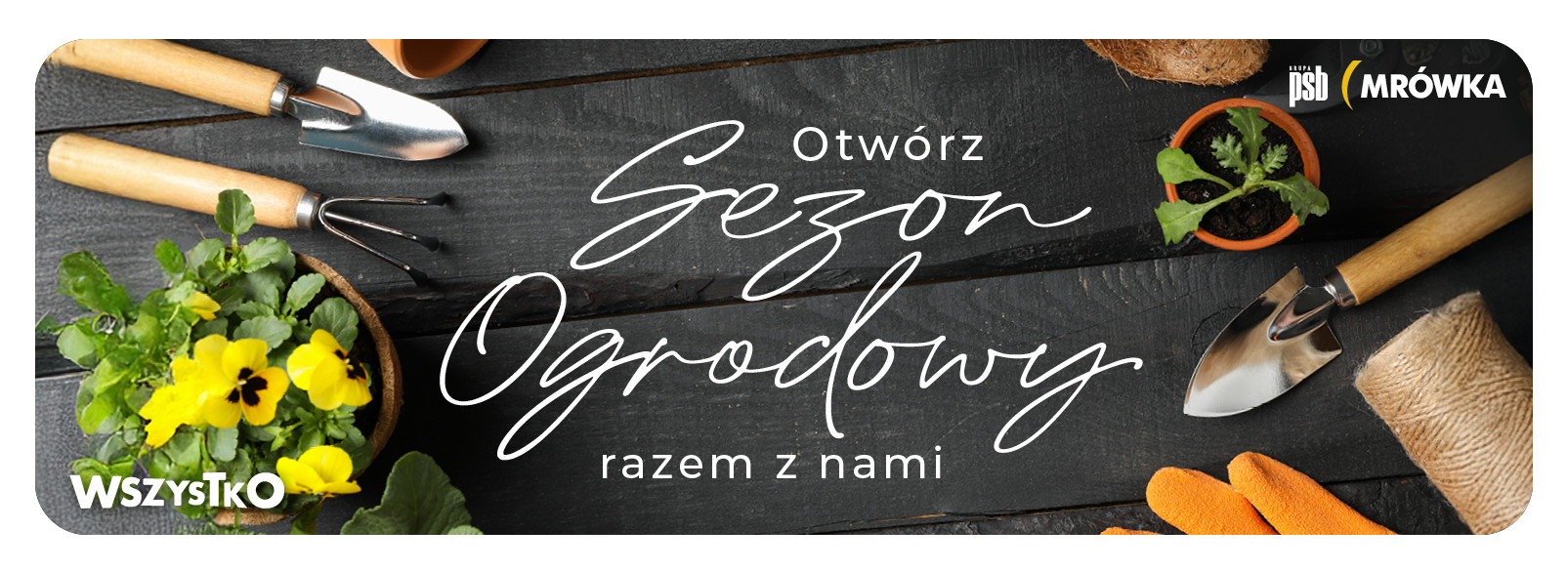 Grupa PSB mrowka Mrówka Kluczbork