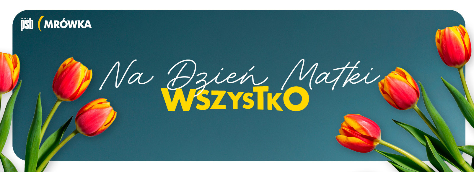 Grupa PSB mrowka Mrówka Kluczbork