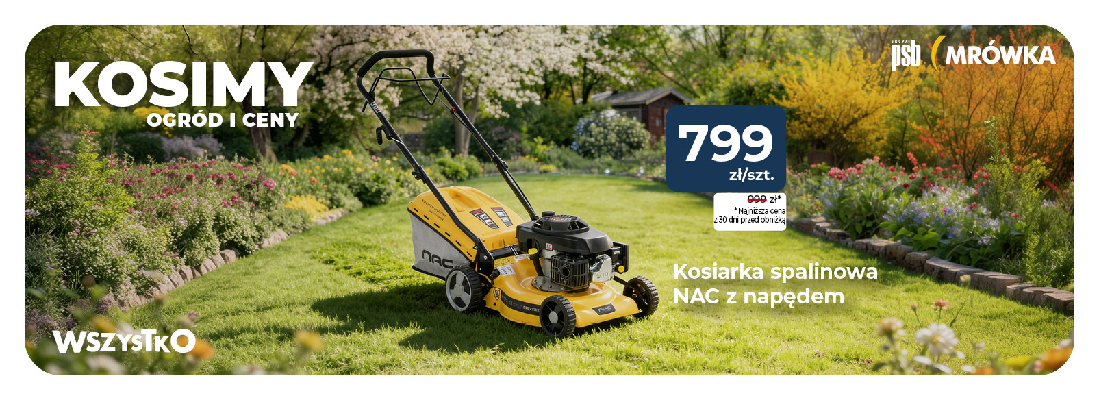 Grupa PSB mrowka Mrówka Kluczbork